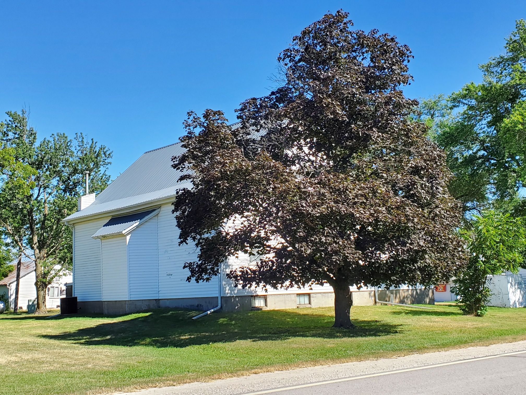 Olmsted Real Estate and Auctions